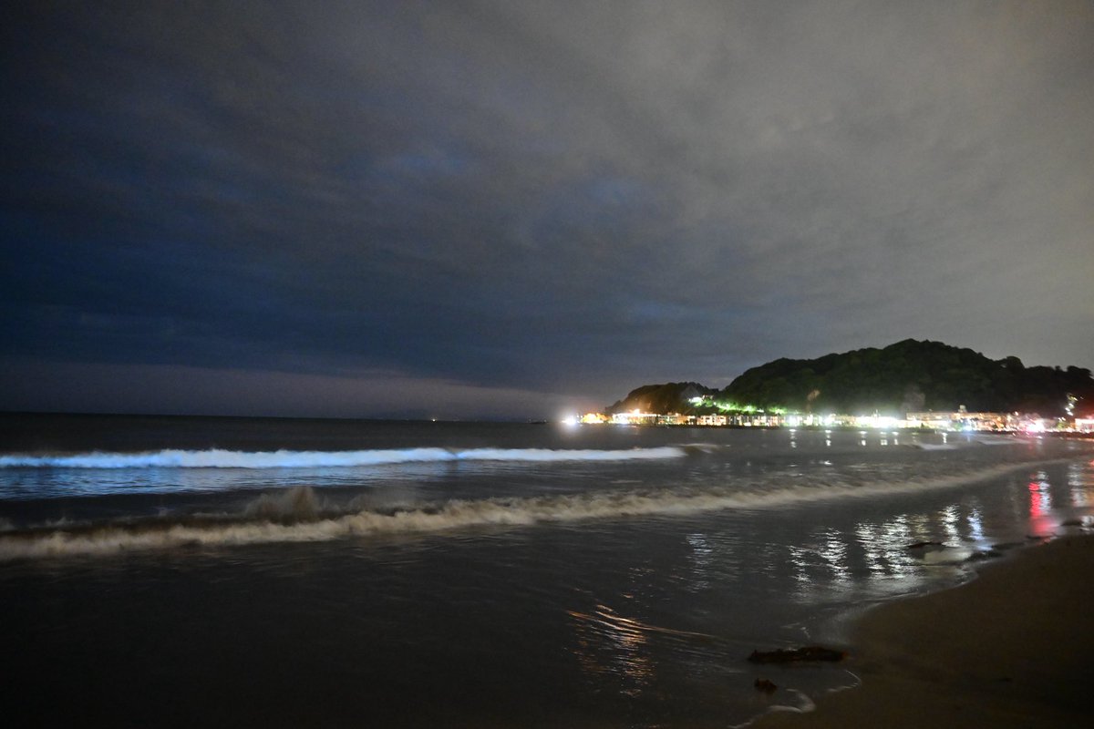 chie_beatle_ymo's tweet photo. いい波来てんよ由比ヶ浜
#由比ヶ浜
#夜光虫 https://t.co/hMUaa8TgOT