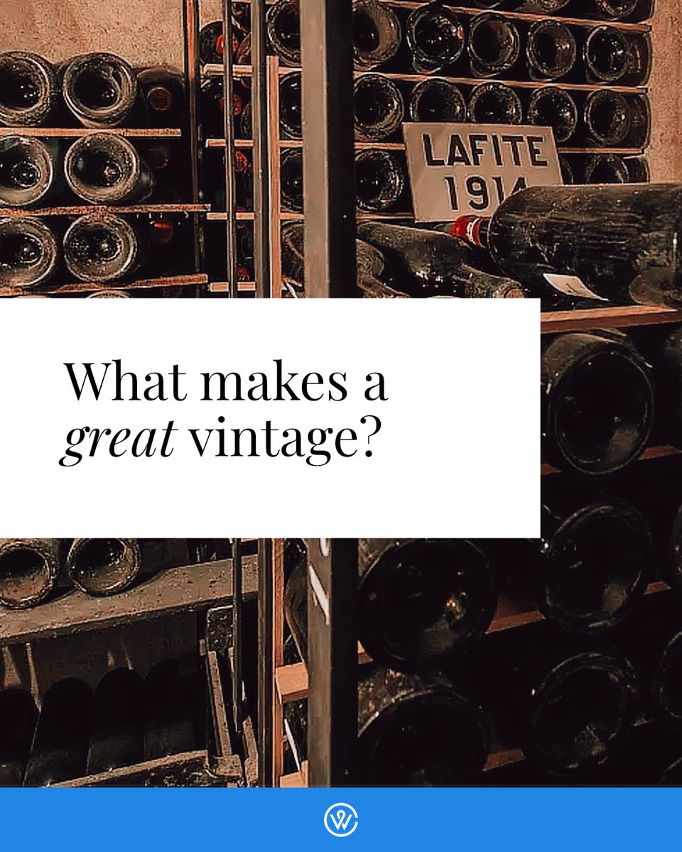 wearewinecap's tweet photo. What makes a great vintage, and how does vintage variation impact wine investment value? 

A legendary vintage can create extraordinary returns, but so can an overlooked year released at the right price and given time to mature.

Learn more here:  https://t.co/tMoSHMwm7K https://t.co/TsCBSmIsut
