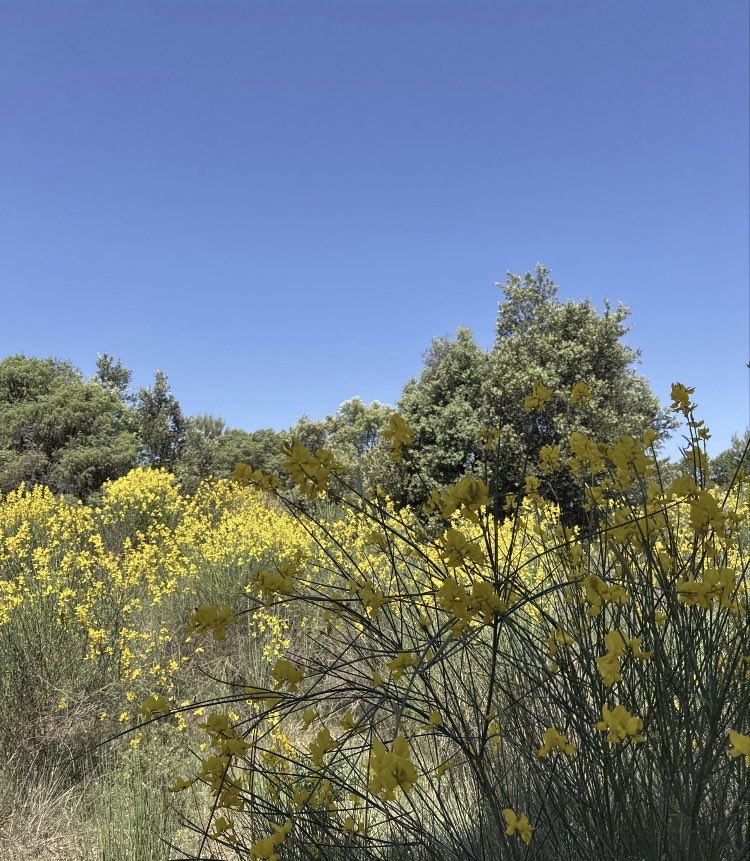 meteofrance's tweet photo. 🌡️ La chaleur persiste ce vendredi. Valeurs provisoires à 17h :

AIGLE (Orne) avec 31.2°C (précédent record 30.7°C le 26/05/2026)
NOIRMOUTIER EN (Vendée) avec 32.4°C (contre 32.3°C le 28/05/2026)
MEAULTE (Somme) avec 30.8°C (contre 30.7°C le 27/05/2026).

📸 Regusse, Var https://t.co/jyNLCu9N1J