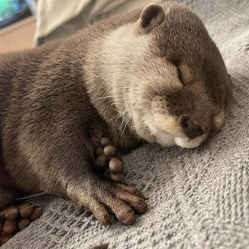 CharlieCoxtters's tweet photo. 💤 https://t.co/NYvWdGMS2l