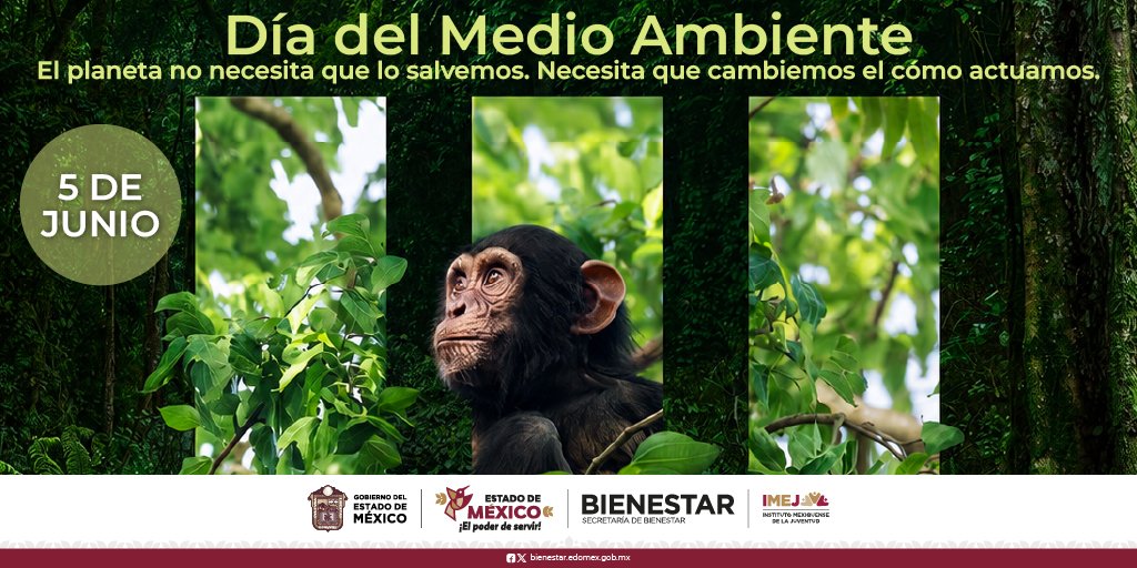 IMEJ_'s tweet photo. El impacto en el medio ambiente está relacionado con nuestras acciones diarias.
El 5 de junio es una oportunidad para reflexionar sobre nuestros hábitos y hacer pequeños cambios que sumen.
#LaGeneraciónDeLaTransformación
#ElPoderDeServir https://t.co/sj5Q0dRvHP