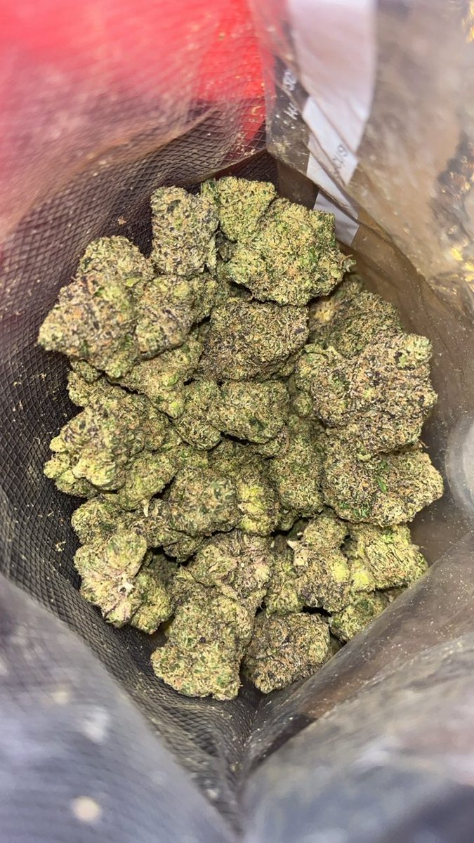 FancyHarness's tweet photo. New drops 🔥 💨🍃

🔗📩👇
https://t.co/W63TP0ZRI9

Wilmington Morehead city New  Bern Rocky mount Greenville Asheville Jacksonville Gastonia Morganton Monroe Hartsville https://t.co/DGcQzvWYra
