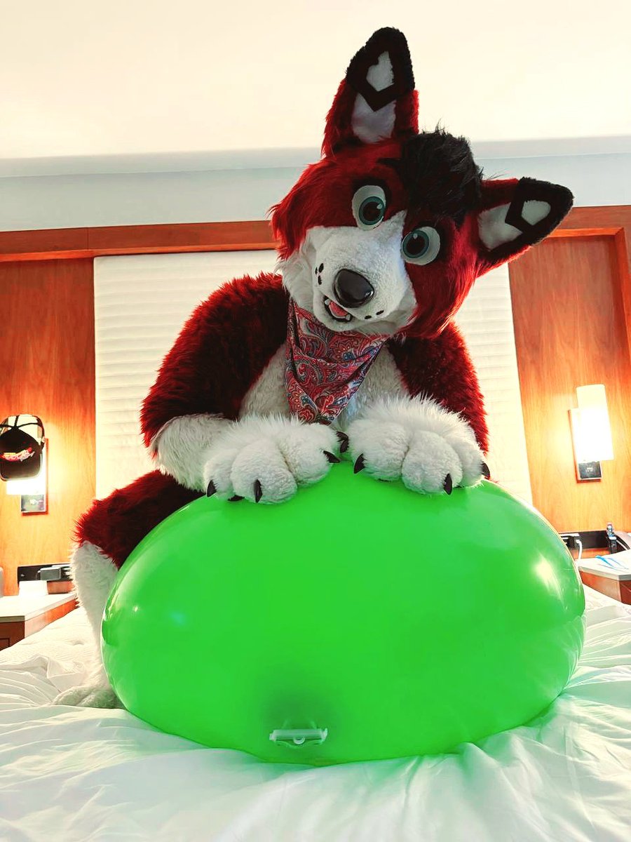 YipMeew's tweet photo. 🎈Show the squeaky, love the squeaky, sit on squeaky for #FursuitFriday 🙌
📸: @Drawrgi https://t.co/665uxEx53C