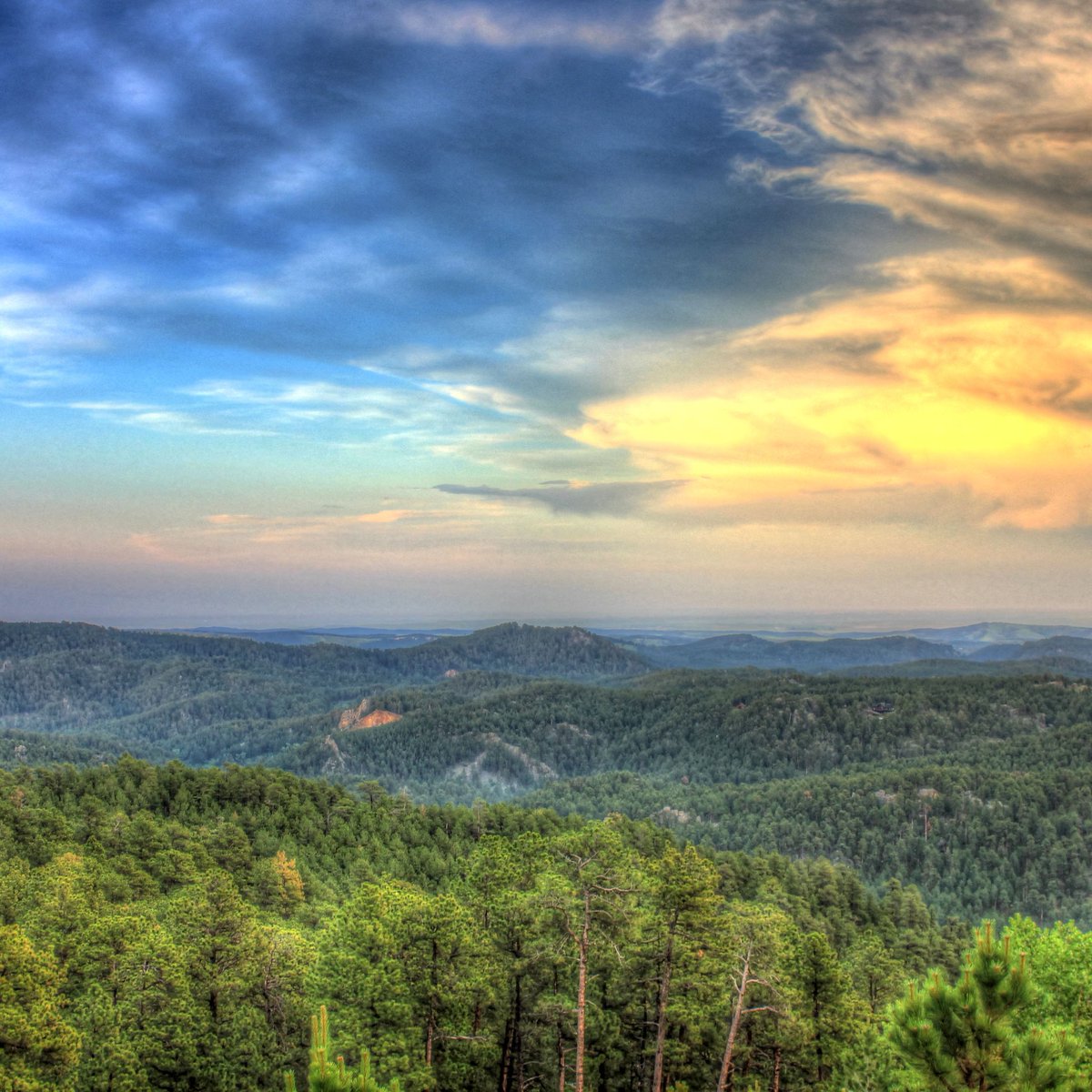 forestservice's tweet photo. Forest Service and @SD_DANR signed a 5‑year Shared Stewardship Agreement to expand cross‑boundary management, boost forest and grassland resilience, reduce wildfire risk, and support the state’s forest products industry. https://t.co/5touqjRIAo https://t.co/kT2M8DEOkK