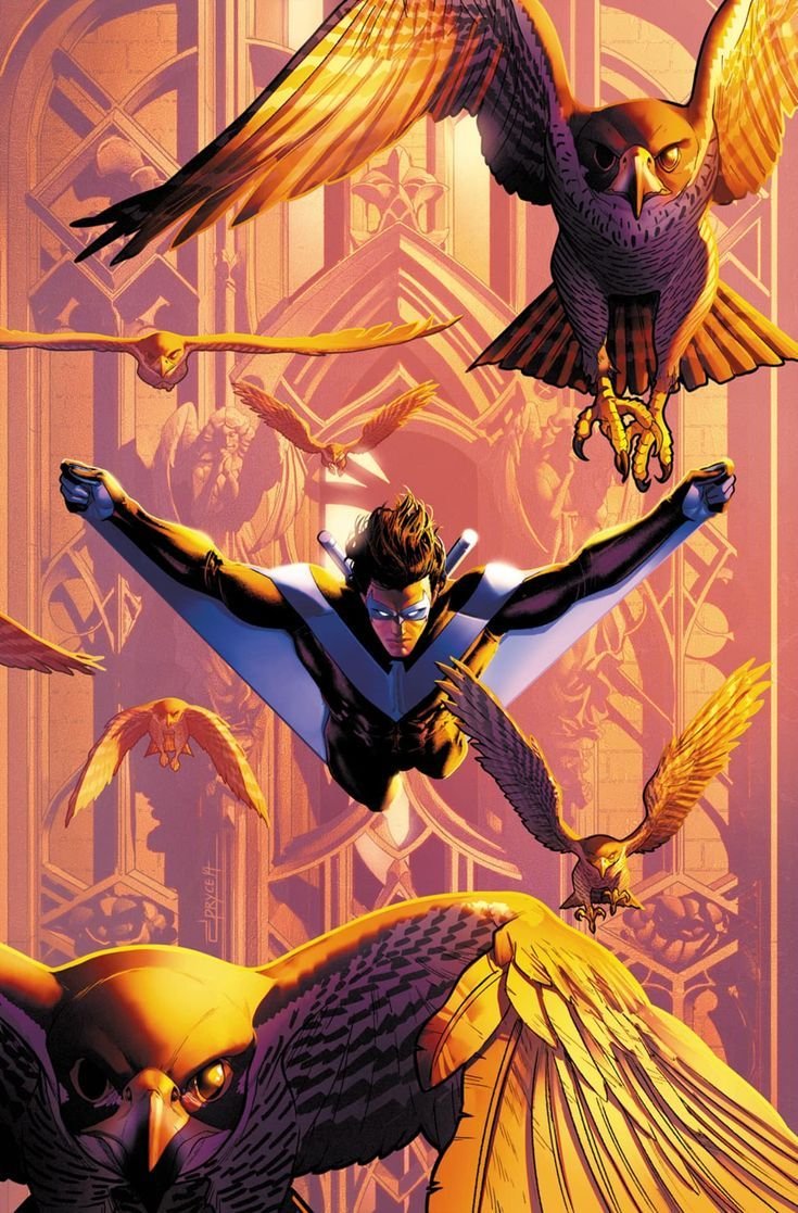 Nightwingriah tweet media
