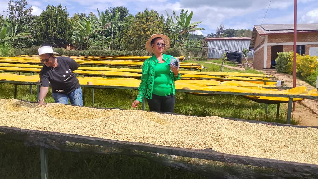 jarama_sector's tweet photo. @kazosec Ibikorwa by'Ubuhinzi byasuwe n'abadepite :

1.  Company yumisha umusaruro w'ibigoli 
2. Cooperative COTIBUKA ihinga urutoki 
3. Ubuhinzi bw'Umuceri 
4.  Uruganda rutonora Kawa rukorera mu murenge wa kazo 
Bishimiye uko ubuhinzi buhagaze basaba abaturage gukomeza kwiteza imbere. https://t.co/aWyn8YWfQq