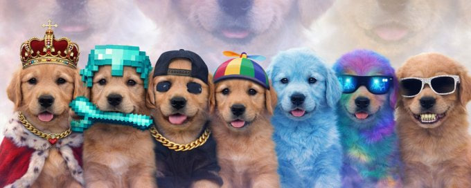 ch0s3nnn's tweet photo. LETS SEND FIRST DOG RUNNER ON PUMP COMMS

$PUP

I WILL MANAGE COMM PAY DEX AND PUSH IT TO BILLIONS https://t.co/pXBItKjoo2