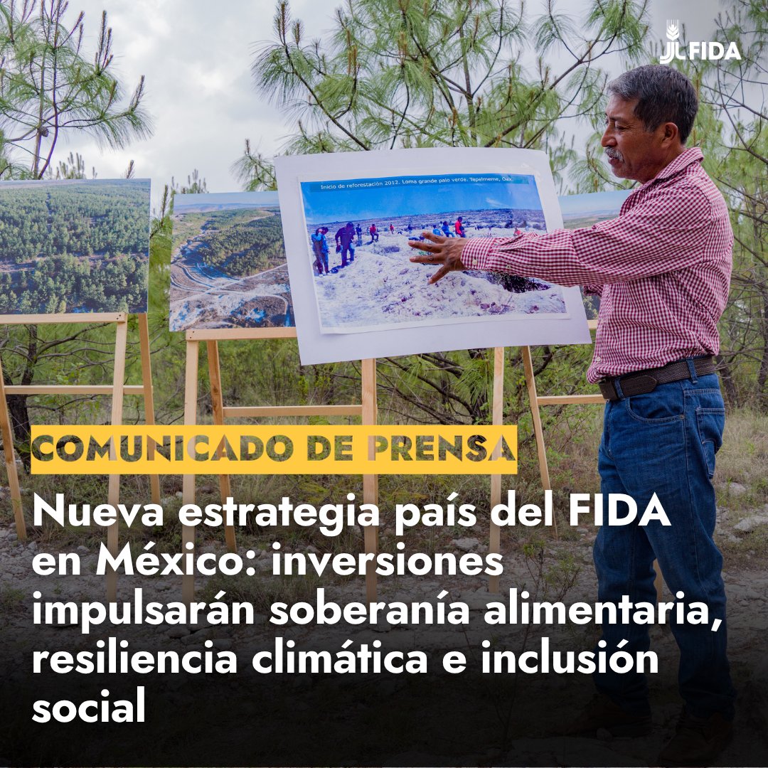 IFADespanol's tweet photo. El FIDA y @GobiernoMX avanzan junto a instituciones nacionales como @CONAFOR en una nueva etapa de cooperación para transformar las zonas rurales

Con inversiones de más de USD 90 millones, el proyecto Cuenca Balsas beneficiará a 200 000 personas.
https://t.co/SwxesOwXEg @SRE_mx https://t.co/kiLAZImnuo