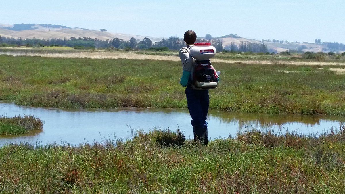 MSMVCD's tweet photo. We are seeking people that love being outdoors &amp; are looking for a job that makes a difference. Being a seasonal vector control technician is a great opportunity to gain hands-on experience, serve your community, &amp; be part of a dedicated team. Apply today! https://t.co/RbC0u3weWf https://t.co/w5thId9AKM
