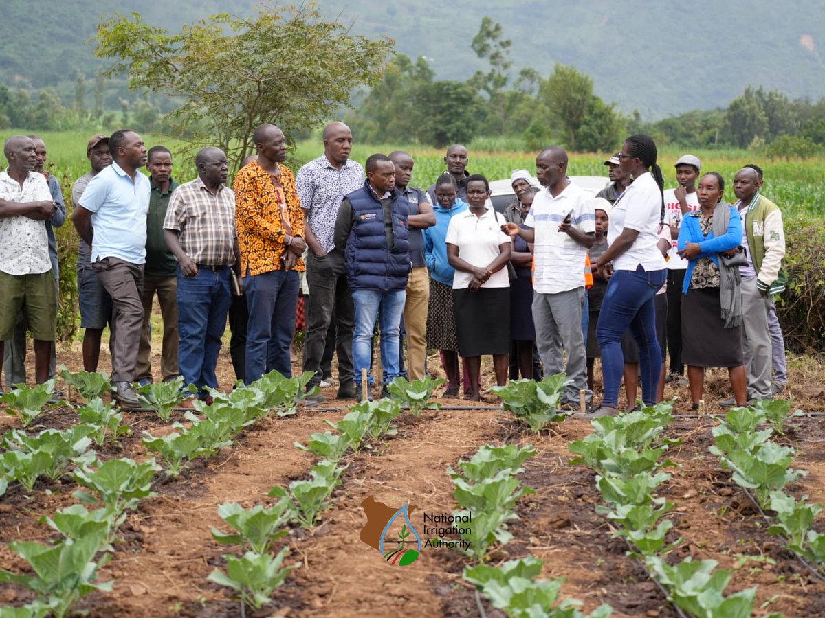 Irrigation_Auth's tweet photo. production to enhance household income and economic growth.
He assured farmers that the Authority will continue to enhance their capacity through continuous training in the best Agronomic practices. https://t.co/KBVXqNv9on
