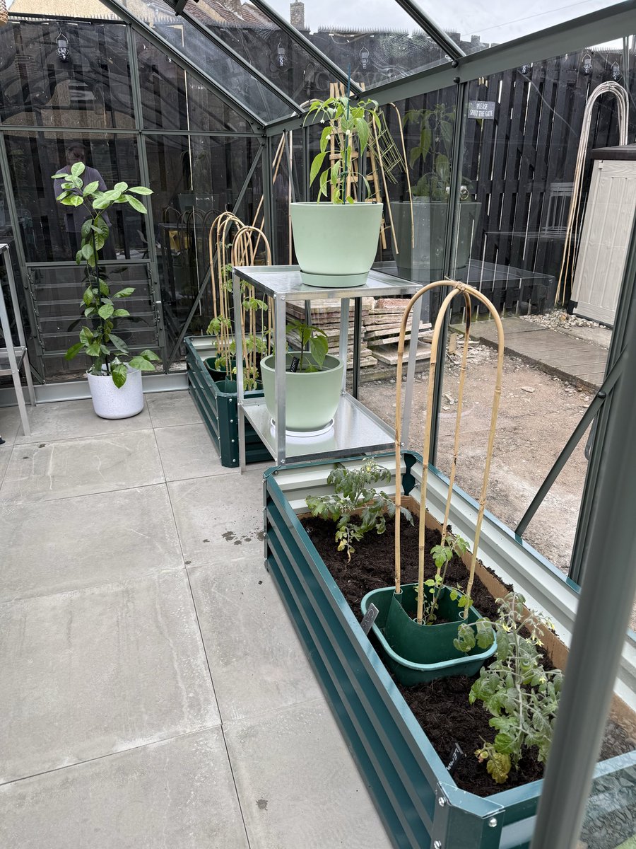sharonrit123's tweet photo. Starting to get organised, Hollys very happy with our 10 different tomatoes peppers chilli cucumber, runner beans, broad beans, peas, potatoes carrots apples,pears, raspberries blackberry blueberries figs so far! @autisticgardner @autcareandshare @GrowWithKG https://t.co/jlgLgLKFGI