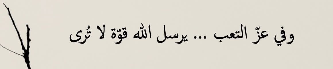 البدر tweet media