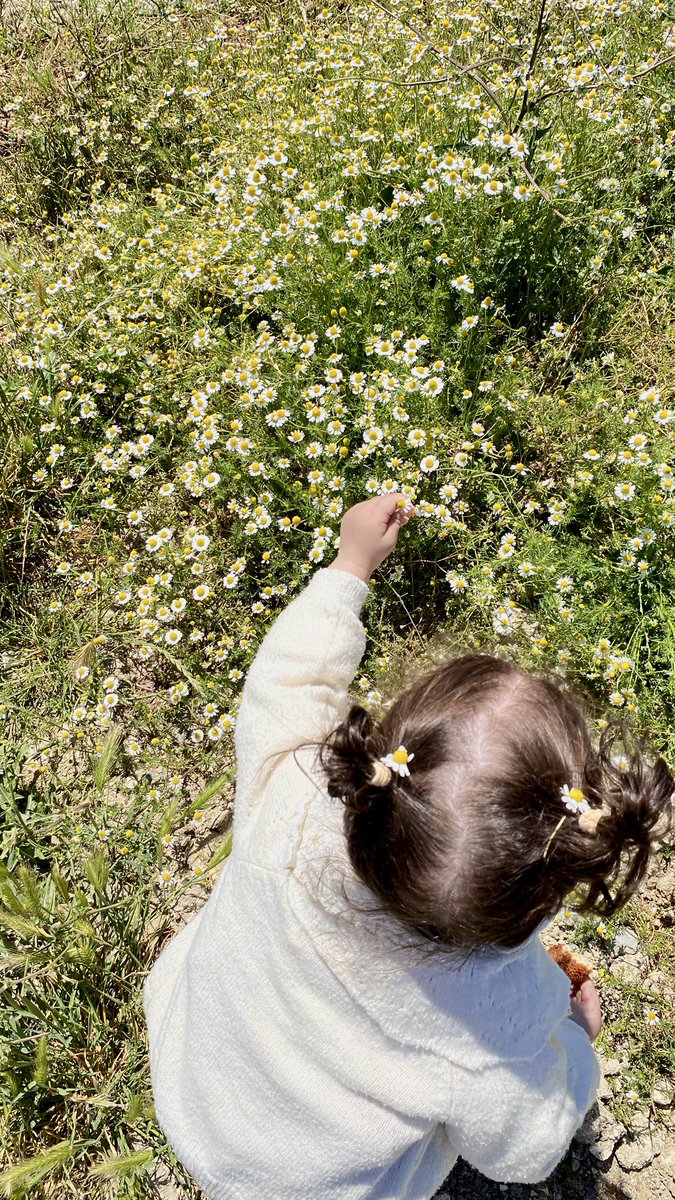 bituba_'s tweet photo. Şairin;
'Sen yanımdaysan zaten bayramdır' dediği…🌼💛 https://t.co/c29jHKfr5K