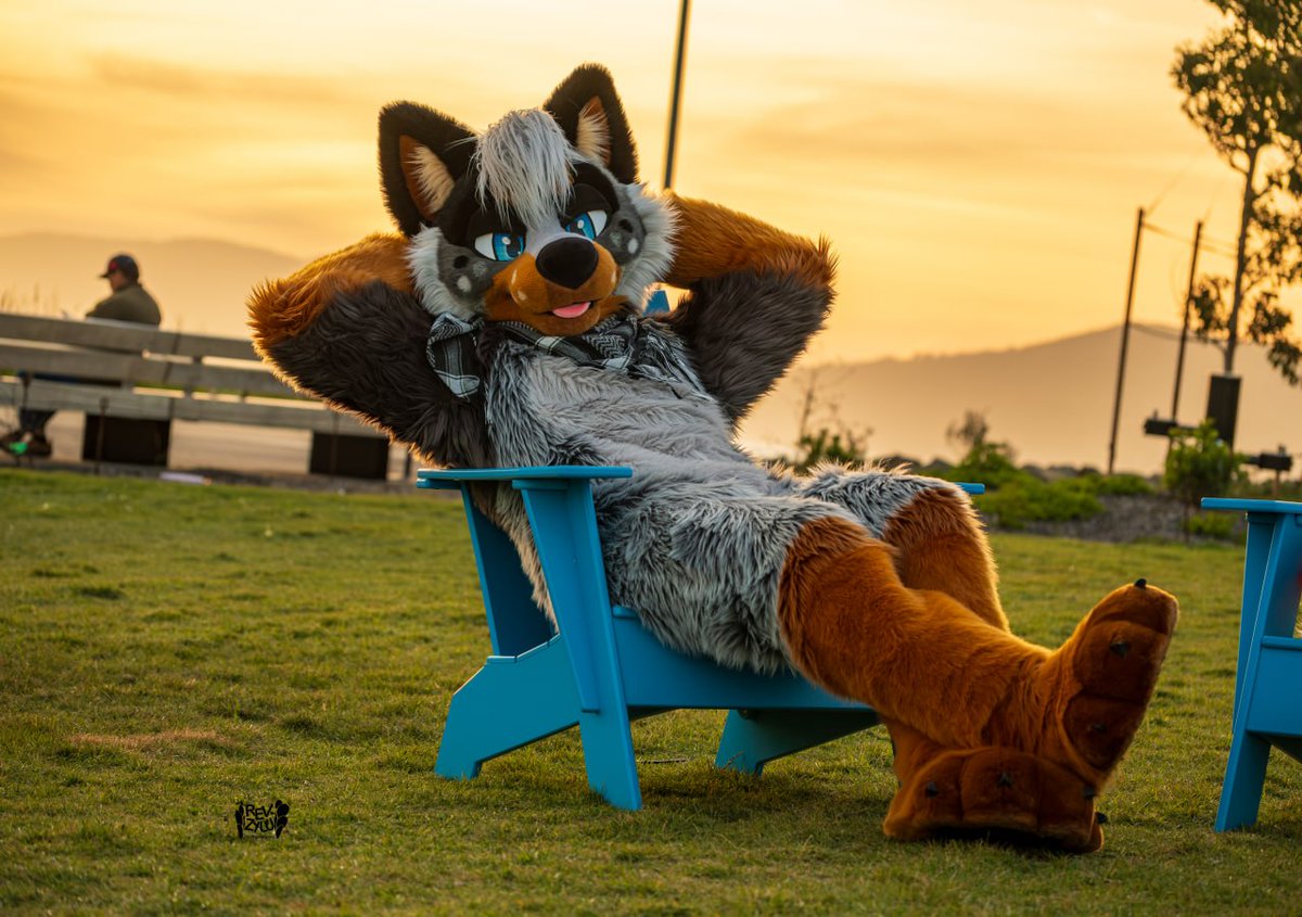 Azure_Barks's tweet photo. Taking it easy is the only way I take it 🐾
#FursuitFriday
📷 @Revzyuu https://t.co/TfDhBIxk0I
