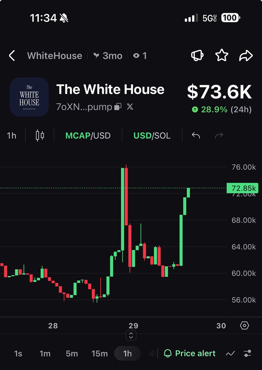 Crypto Bee-Cash tweet media