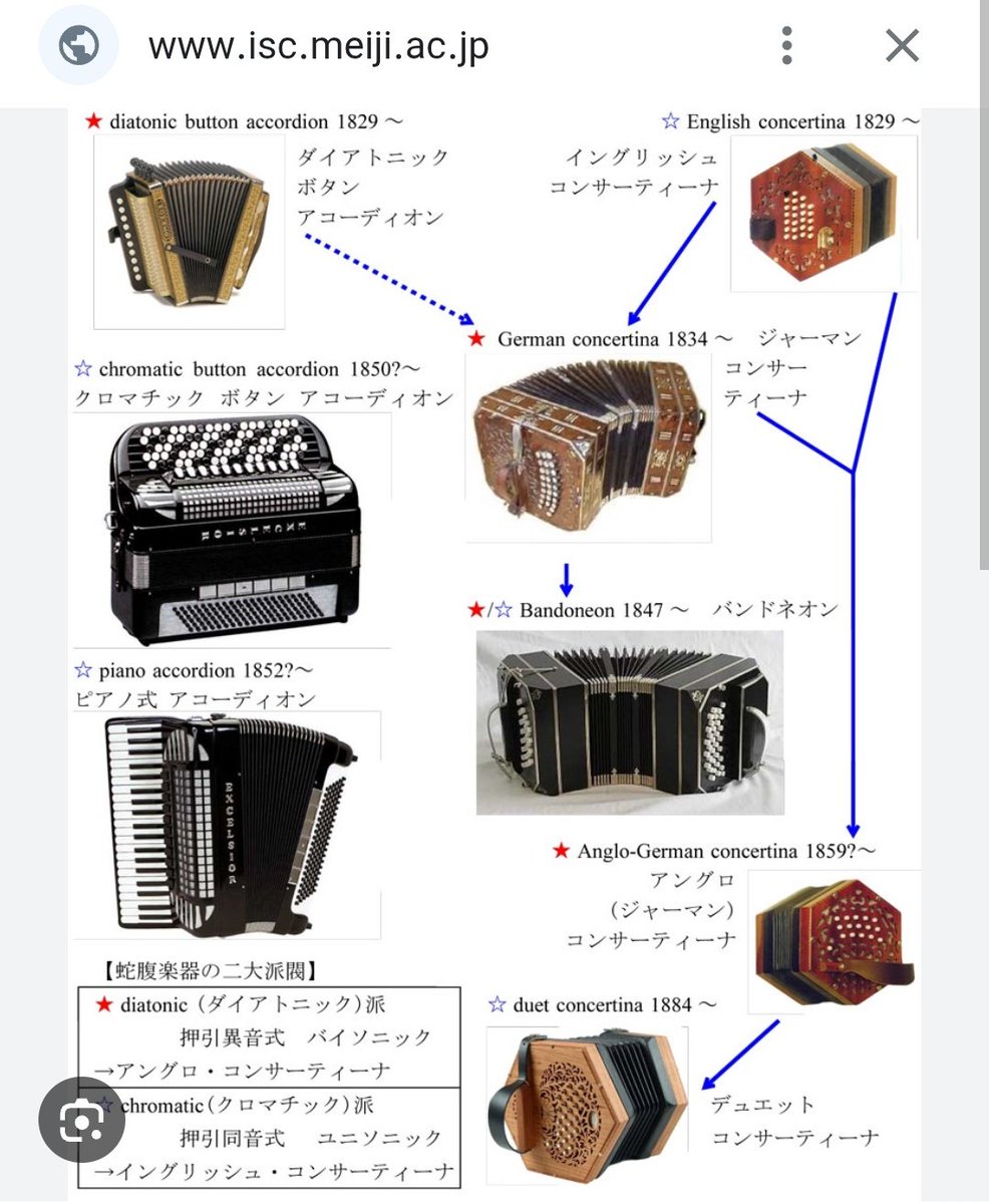 アコーディオン プロフェッショナル コンサーティーナ 初心者向け