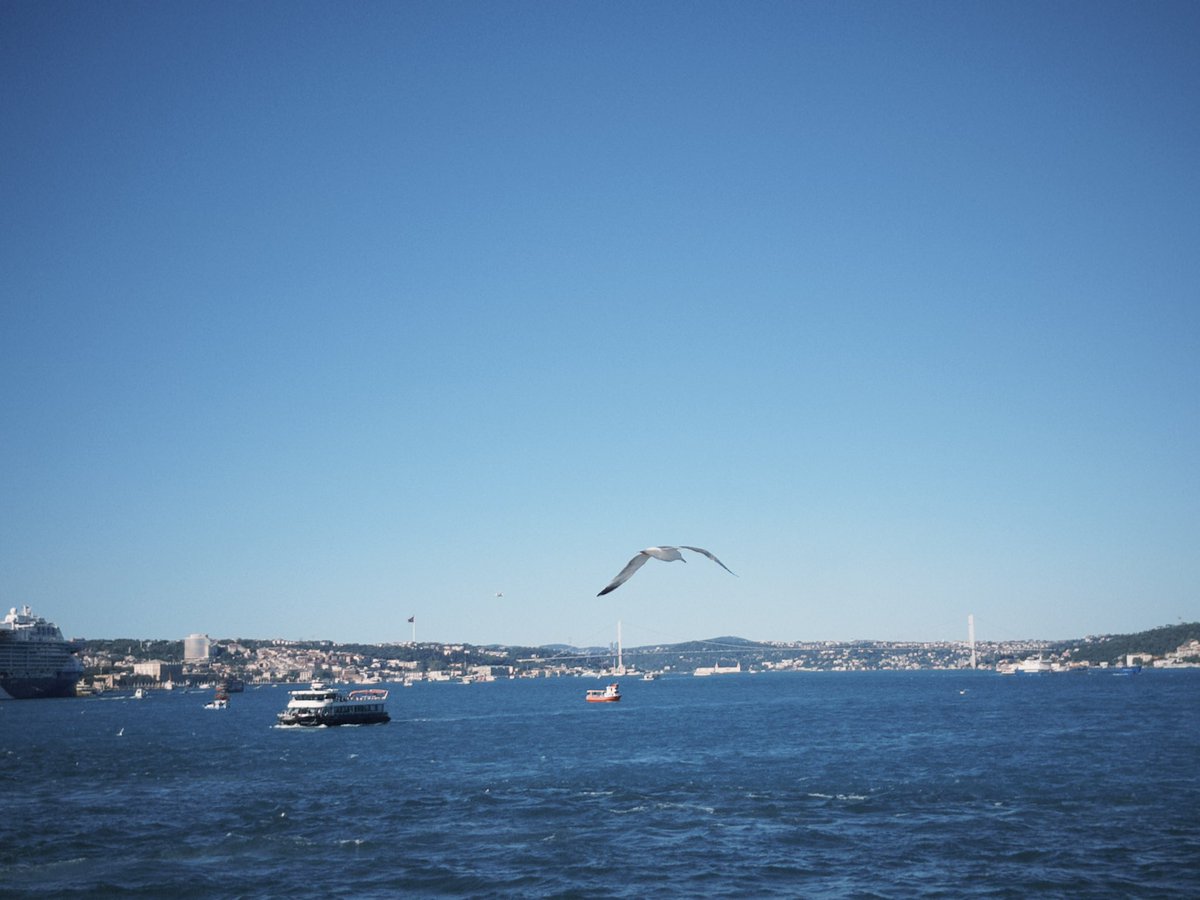 long quiet tweet media