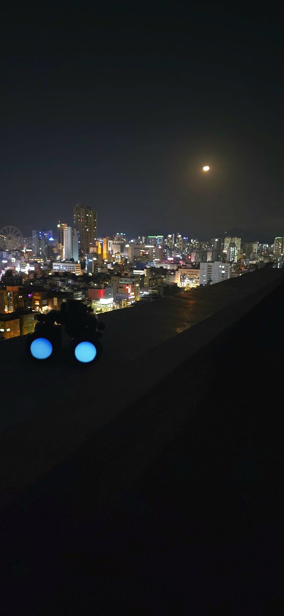 셰퍼드 tweet media