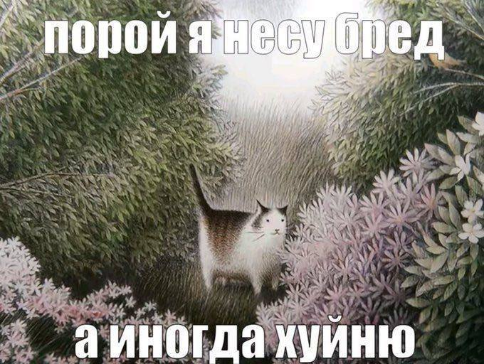 boringsquid's tweet photo. https://t.co/soMFiFahxs