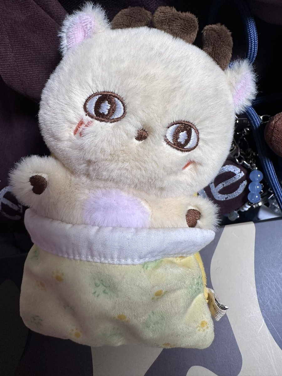 훈지훈 tweet media