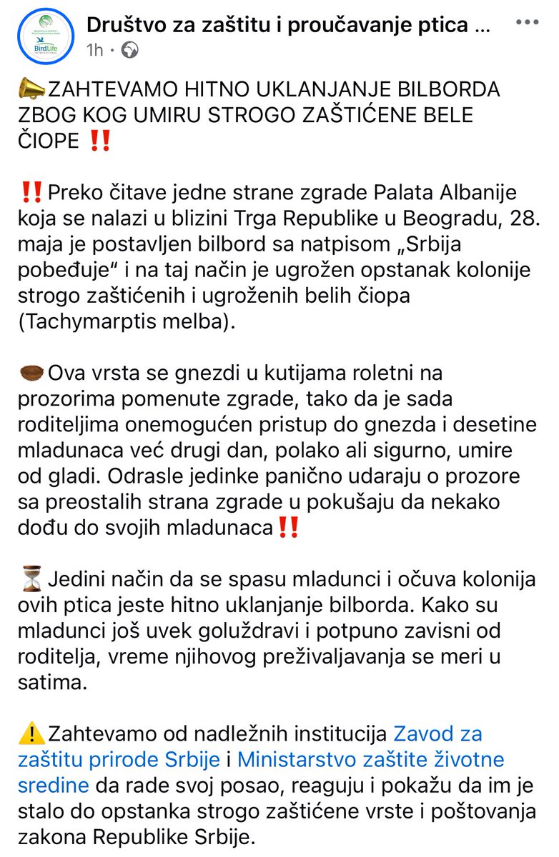 Minja Bogavac tweet media