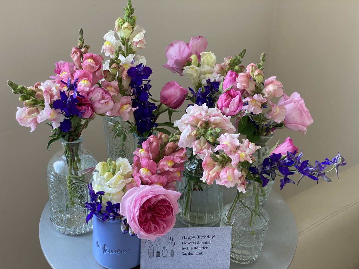 BoulderMOW's tweet photo. #FridayFeature The little touches make a world of difference. Thank you to Boulder Garden Club for continuing to donate birthday blooms for our clients' special days. For more info about our services &amp; how to get involved: https://t.co/ZSWNsAHmpI #Boulder #MealsonWheels https://t.co/Nk27G0EgOq