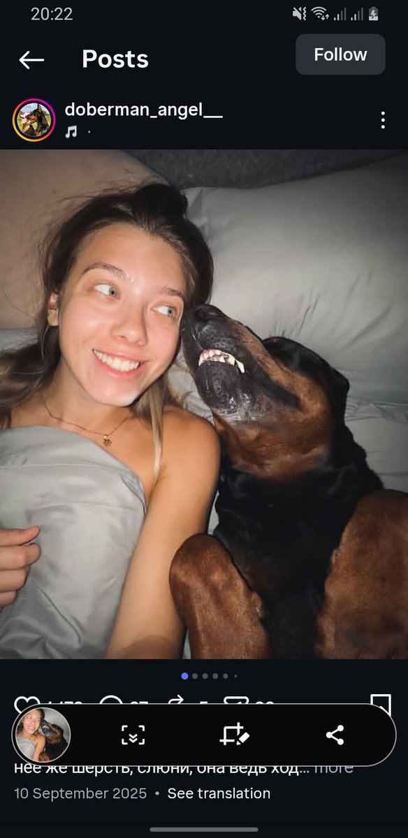 RTongrot's tweet photo. Making big mess with my Doggo.🔥Dm to join me in live streams 📷
Something fun drops midnight🐶💦🍑 
💌https://t.co/sdOSOhY4jM😈

🔗https://t.co/J1Ny2kg309🔗

#artofzoo #zooisvalid #dogslut #livestreams #bestiality #teenagegirls #sellingcontents https://t.co/2F1yKqnV87