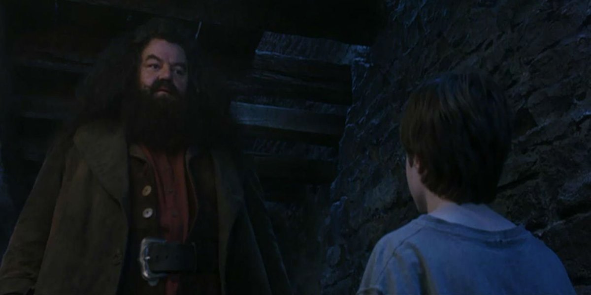 HalfBloodDaily's tweet photo. One thing I love about Hagrid is that he never expected Harry to be extraordinary. Everyone else saw “The Boy Who Lived.” Hagrid saw a kid who needed someone to explain how the wizarding world worked and make sure he had a birthday cake. https://t.co/HKiBif3uSR