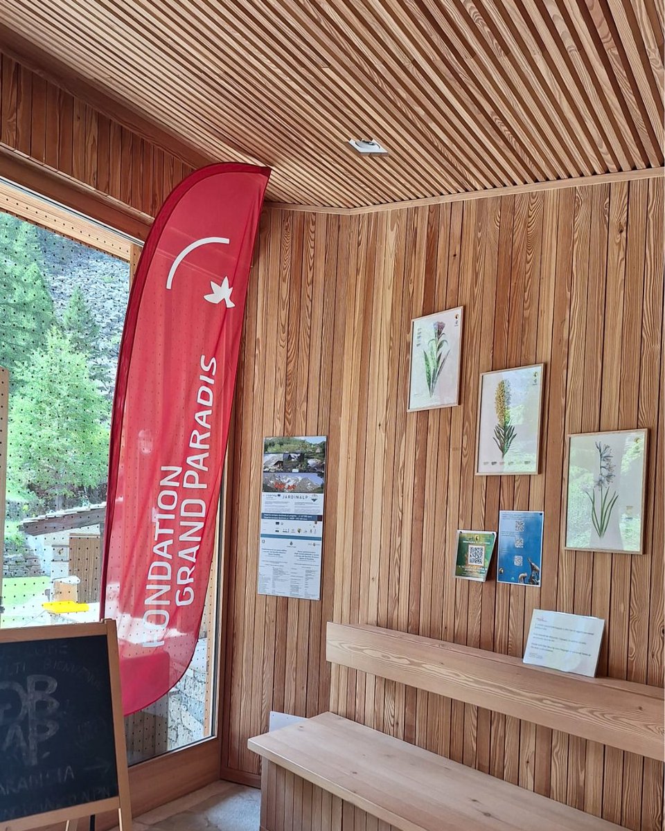 FGrandParadis's tweet photo. 🌷 Domani, 30 maggio, riapre il Giardino Botanico Alpino Paradisia.

👉 Info e prenotazioni: https://t.co/8q0O7lsos3

@ComuneCogne @VisitCogne @PNGranParadiso https://t.co/xPHT2iTqE3