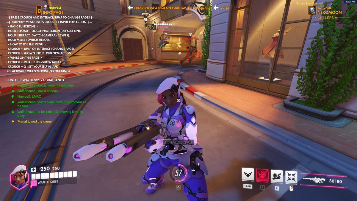 catboyemre's tweet photo. @PlayOverwatch new sierra skin has a problem and hides gold weapon! pls fix https://t.co/n2w19jFw9V