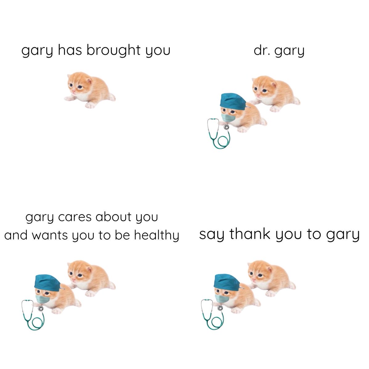 gary tweet media