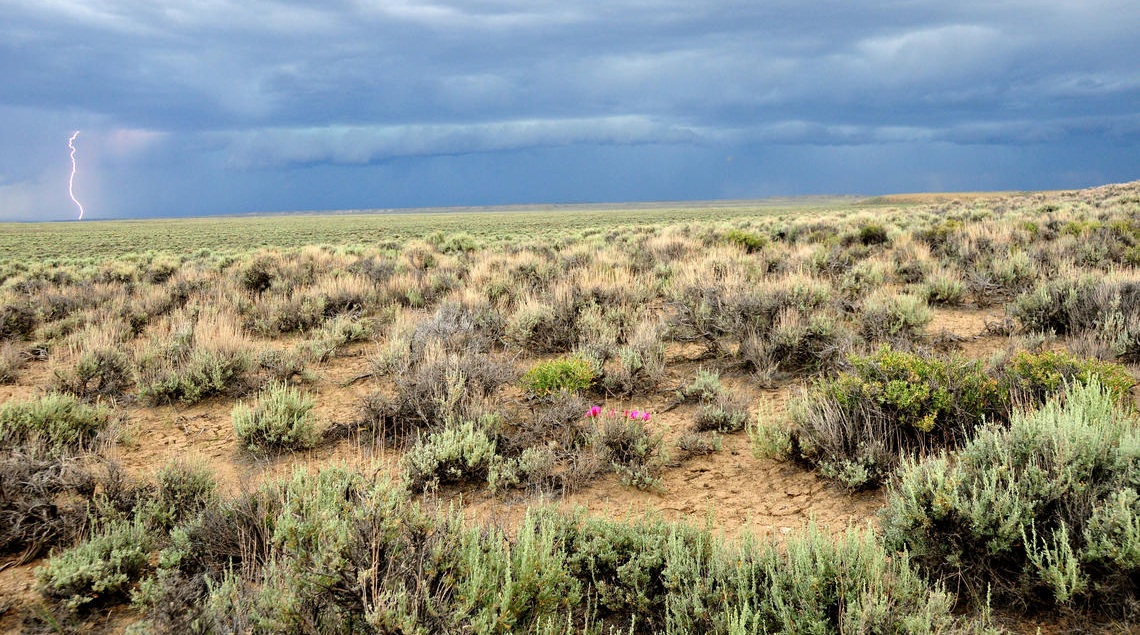 FireScienceGOV's tweet photo. The @usgs Land Management Research Program and the Great Basin Fire Science Exchange are teaming up again to bring you updates in sagebrush, fire, invasives, wildlife, and monitoring related research. Webinar series starts on 6/10. Full schedule here https://t.co/PKpR27oKi3 https://t.co/69qazcd7fq