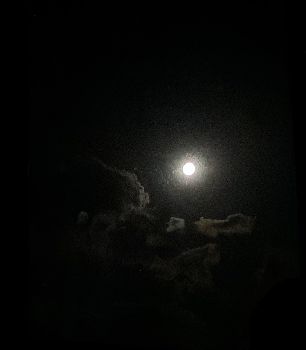 559_r's tweet photo. 寝ようと思って電気消したけども
月が明るすぎる
肉眼で見たらもっと煌々としておられる https://t.co/Ortc0nius9