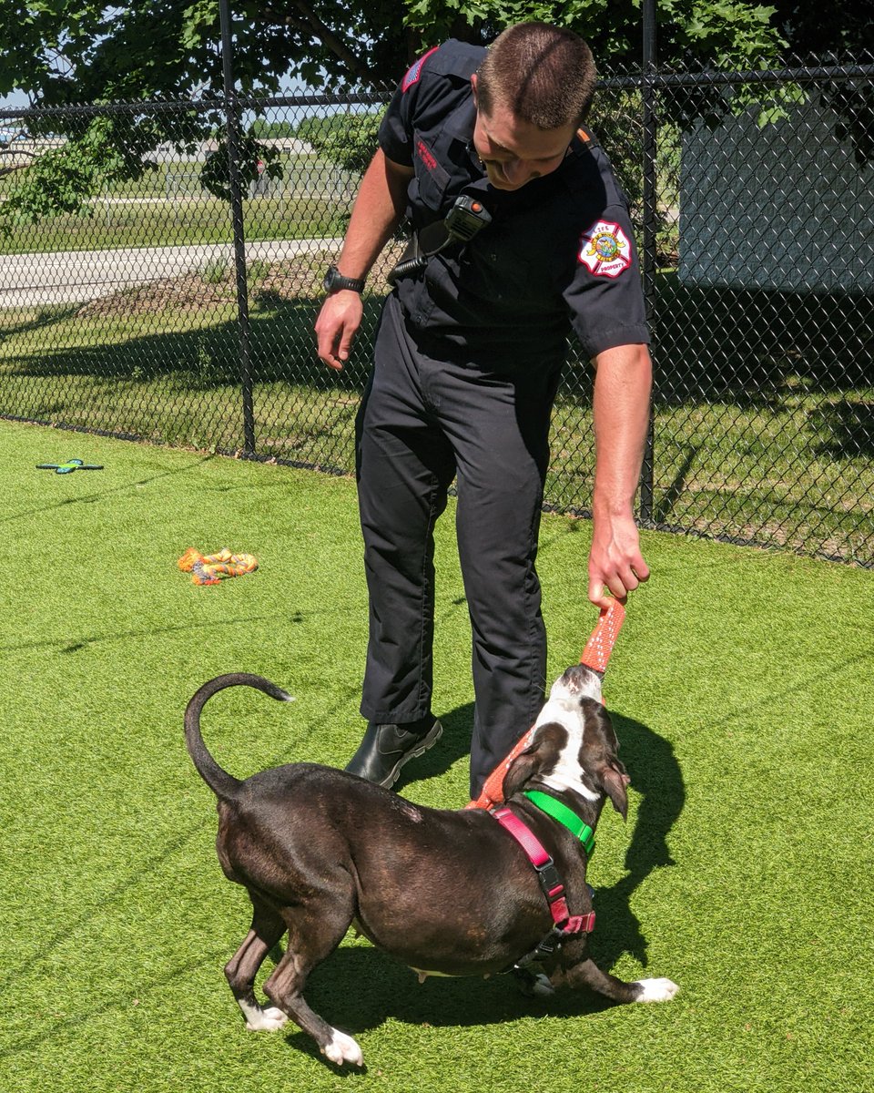 CityofWaukesha's tweet photo. 🚒🐾 The Waukesha Fire Department stopped by HAWS to snap photos for the 2027 First Responder Calendar. After the official shots, the crew spent some extra time getting to know other adoptable animals. 🐶

#WaukeshaFire #HAWS https://t.co/XKYaWNfDYV