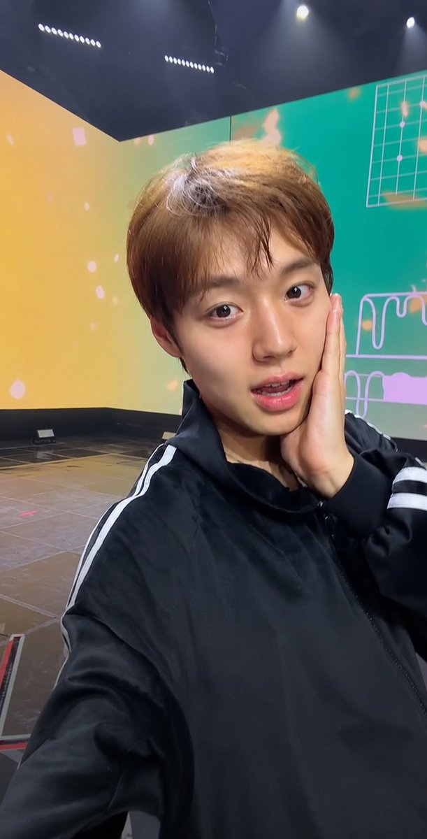 단찌 tweet media