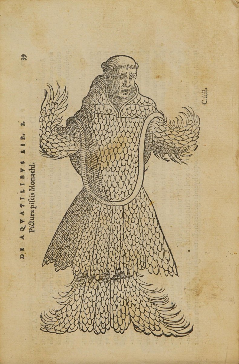 ALSmithey's tweet photo. Behold: 
The Fabulous Horse of Neptune!
The Sea Monk!
The Sea Toad!
The Sea Wolf!

—Belon, Pierre. On Aquatic Life: Book Two, 1553. https://t.co/o9u9NgOM8B
