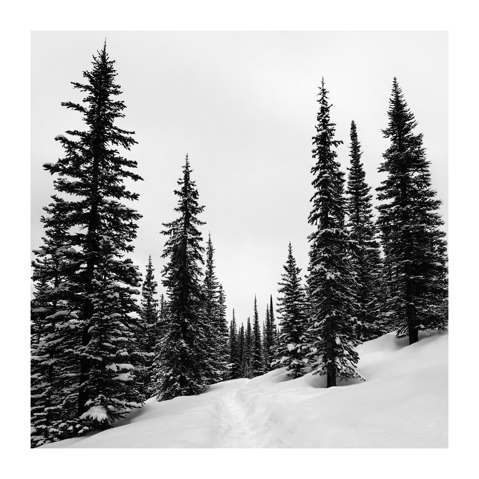 patrickemsphoto's tweet photo. CANADIAN ROCKIES 11

#patrickemsphotography #patrickems #fineartphotography #canada #banffnationalpark https://t.co/7i4aDvFJKu