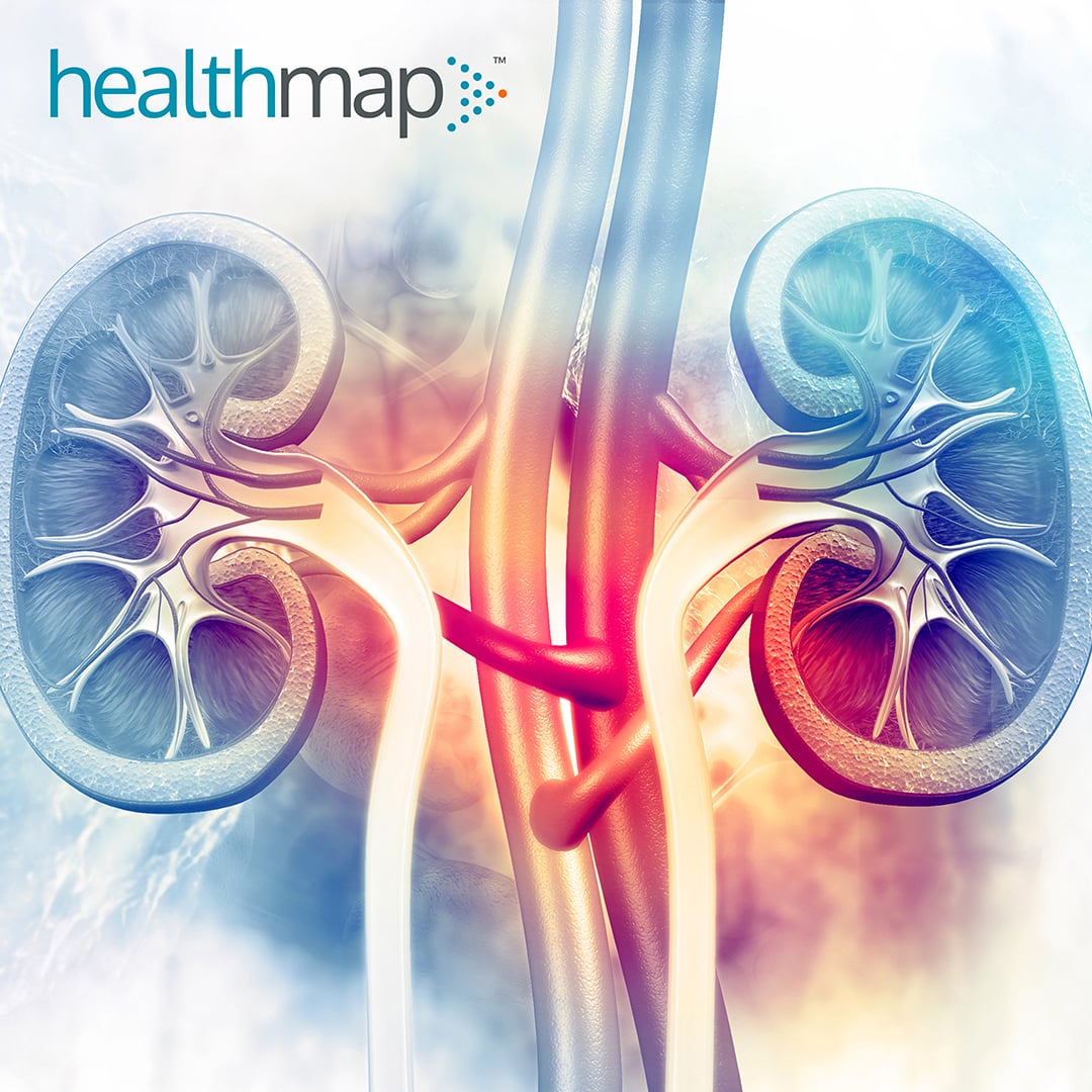 healthmapcare's tweet photo. Check out the American Family Physician editorial by the Healthmap clinical leadership team, providing practical insights on kidney disease management based on updated Kidney Disease: Improving Global Outcomes guidelines. To read it, click here: https://t.co/nEjiRqmIL7 https://t.co/lw0aMYzxF7