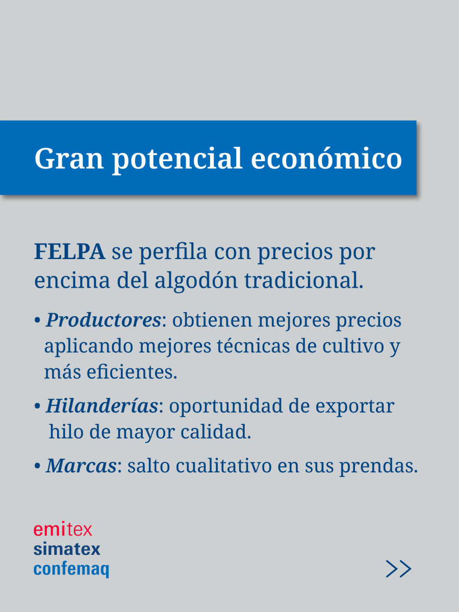TextilExpo's tweet photo. ¡El próximo algodón premium del mundo es 100% argentino y vas a poder conocerlo en la expo! 🇦🇷🌾

Vení a Emitex, Simatex y Confemaq para encontrarte con los protagonistas de este desarrollo

📍 La Rural, Buenos Aires
🗓️ 2 al 4 de junio
🔗 https://t.co/Nctjg9GRsD https://t.co/Bkzk2Ct73k