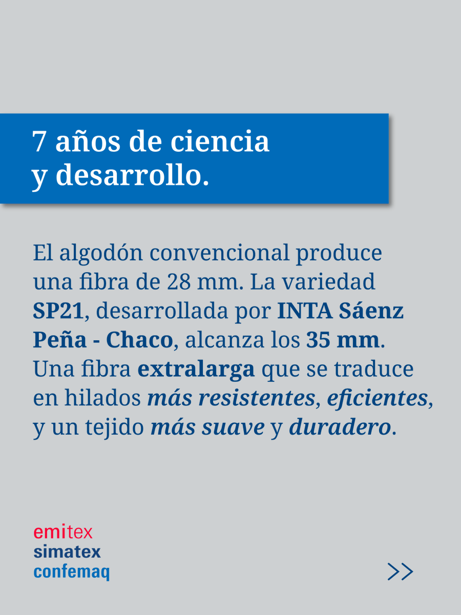 TextilExpo's tweet photo. ¡El próximo algodón premium del mundo es 100% argentino y vas a poder conocerlo en la expo! 🇦🇷🌾

Vení a Emitex, Simatex y Confemaq para encontrarte con los protagonistas de este desarrollo

📍 La Rural, Buenos Aires
🗓️ 2 al 4 de junio
🔗 https://t.co/Nctjg9GRsD https://t.co/Bkzk2Ct73k