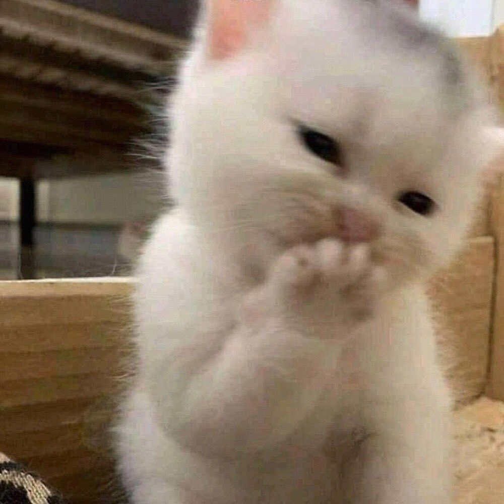 นนแจล์ ◟✿ 。 * · ❀ 🍋🍧✨ tweet media