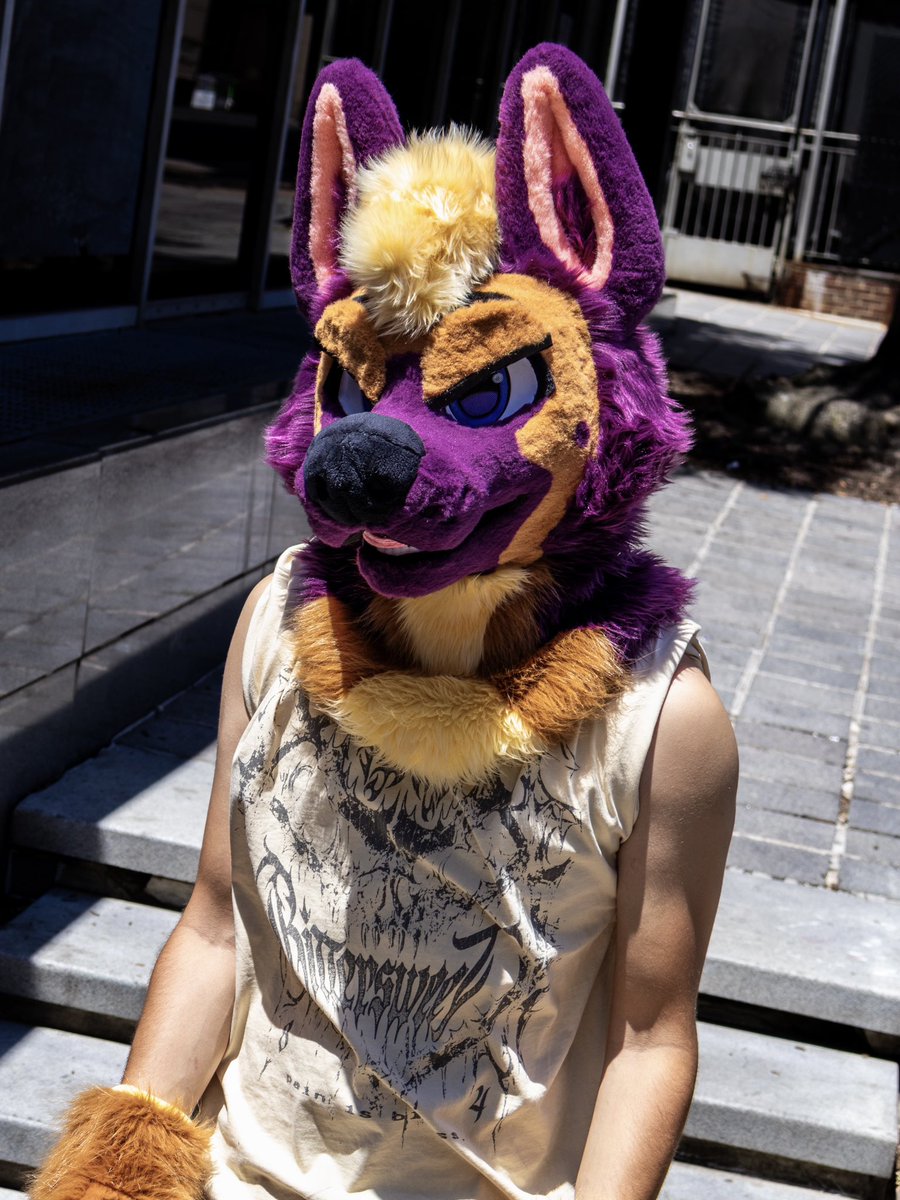 lewstooth's tweet photo. last couple from my FWAtoshoot
#fursuitfriday https://t.co/iIO5inVTQK