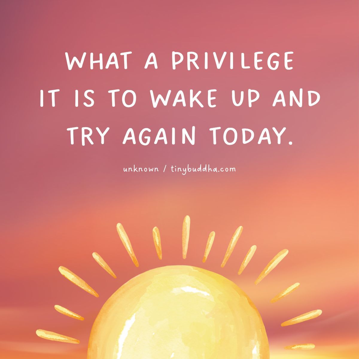tinybuddha's tweet photo. What a privilege it is to wake up and try again today. https://t.co/NHK1QUKleq