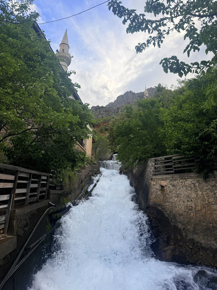 Mehmet Buğra Tümtaş tweet media