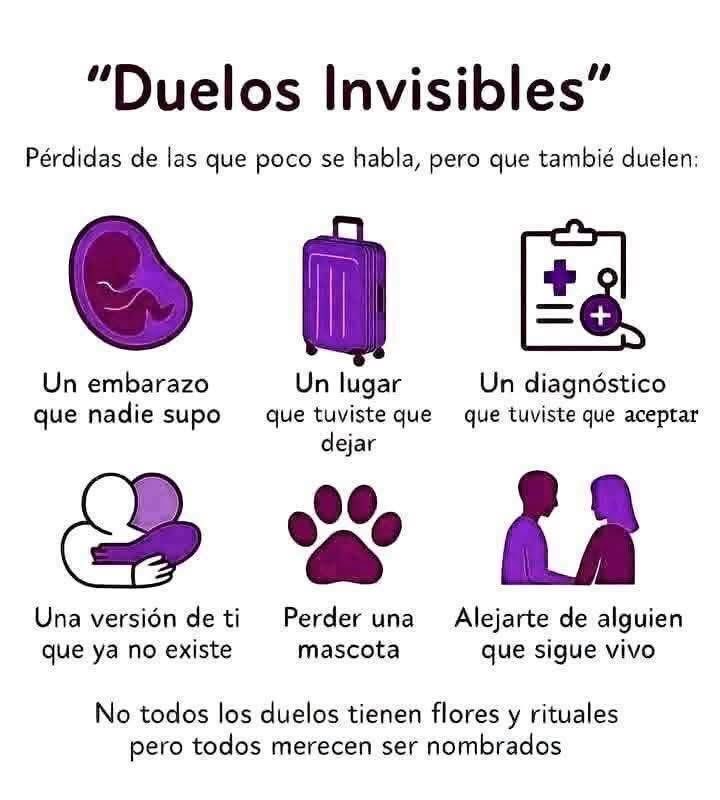 EdithGQ62's tweet photo. Duelos invisibles !!🦋 https://t.co/vcPE67Sk89