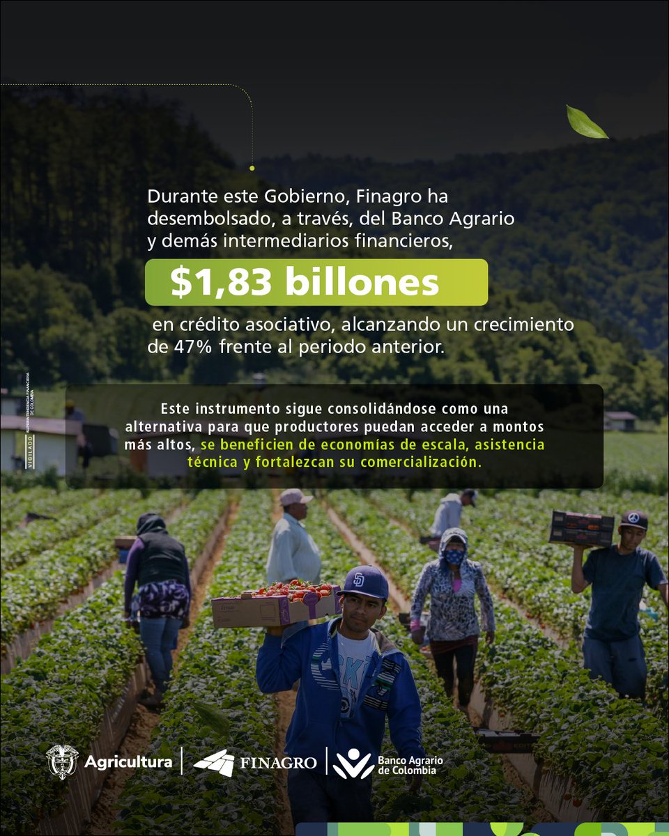 Finagro's tweet photo. Seguimos sembrando justicia económica, inclusión financiera y oportunidades para transformar el campo colombiano. 🇨🇴 https://t.co/jsTHaWUZo8
