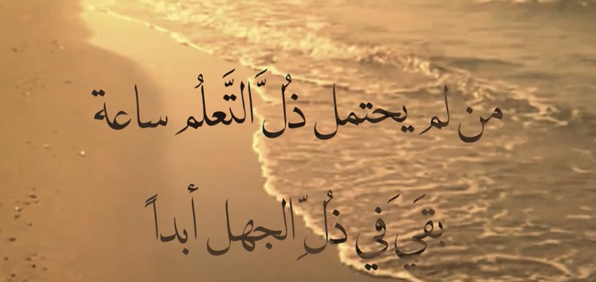 NNouf78's tweet photo. ✨ https://t.co/0gr9sGyy1q