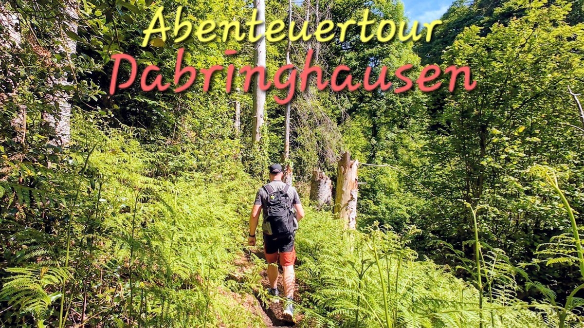 WanderBlog tweet picture