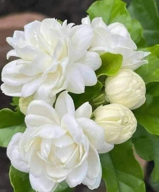Samo36728767's tweet photo. حقيقة ....
أيها الانسان أنت أكبر وأعظم وأروع مما تتصور ولكنك لا تدري ..فلا عندك وقت ولا عندك صبر ولا لك رغبة .. فأنت ضحية دنياك الضيقة ..!!"

حقيقة ... https://t.co/Q0ARHtd9J6