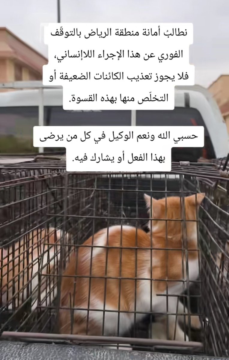 noouf47e's tweet photo. @SalamVeterinary @Amanatalriyadh @Amanat_Hail #يوم_الجمعة 
#اللهم_صل_وسلم_على_نبينا_محمد 
حسبي الله ونعم الوكيل 

 يارب دمر كل شخص يؤذيها https://t.co/tlbXkKvyq4